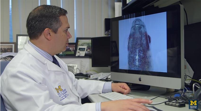 Dr. Alon Kahana in front of a monitor displaying a zebrafish